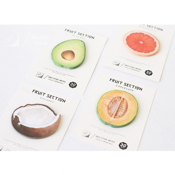 Summer Fruits Melon Coconut Avocado Grape Fruits Sticky Notes Pad Page Markers