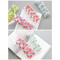 Summer Fruits Transparent See Through Plastic Pencil Case Cosmetics Make Up Bags